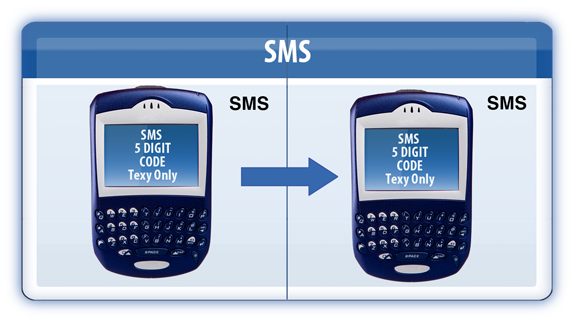 SMS Statistics